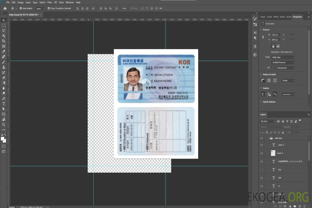 Carte d'enregistrement des étrangers en Corée du Sud (ARC) template